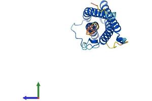 AlphaFold protein structure predicition of Mouse Recombinant Cntf Protein, UniprotID P51642