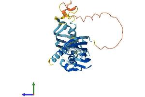 AlphaFold protein structure predicition of Mouse Recombinant Ahsa2 Protein, UniprotID Q8N9S3
