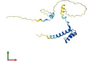 AlphaFold protein structure predicition of Mouse Recombinant Hesx1 Protein, UniprotID Q61658