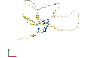 AlphaFold protein structure predicition of Mouse Recombinant Nanos1 Protein, UniprotID Q80WY3