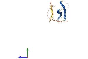 AlphaFold protein structure predicition of Mouse Recombinant Ina Protein, UniprotID P46660