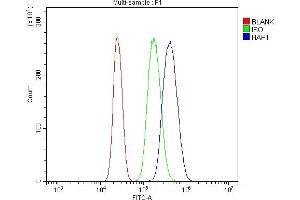 Flow Cytometry analysis of U937 cells using anti-HAP1 antibody (ABIN7599522). (HAP1 anticorps  (AA 1-671))