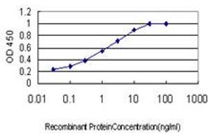 Detection limit for recombinant GST tagged SH3MD2 is approximately 0. (SH3RF1 anticorps  (AA 790-888))