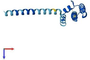 AlphaFold protein structure predicition of Mouse Recombinant Pam16 Protein, UniprotID Q9CQV1