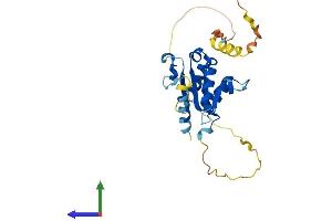 AlphaFold protein structure predicition of Mouse Recombinant Tirap Protein, UniprotID Q99JY1