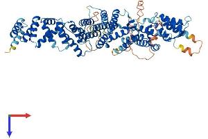 AlphaFold protein structure predicition of Human Recombinant INTS10 Protein, UniprotID Q9NVR2