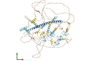 AlphaFold protein structure predicition of Mouse Recombinant St18 Protein, UniprotID Q80TY4