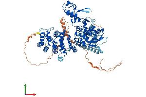 AlphaFold protein structure predicition of Mouse Recombinant Hectd2 Protein, UniprotID Q8CDU6