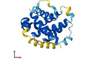 AlphaFold protein structure predicition of Mouse Recombinant Bcl2a1 Protein, UniprotID Q07440
