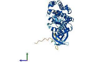 AlphaFold protein structure predicition of Human Recombinant UHMK1 Protein, UniprotID Q8TAS1