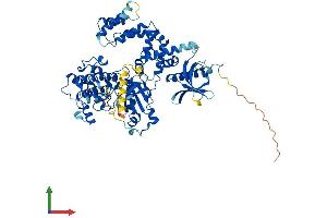 AlphaFold protein structure predicition of Mouse Recombinant Grk2 Protein, UniprotID Q99MK8