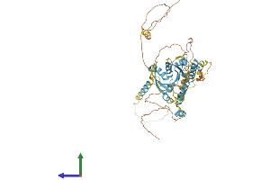 AlphaFold protein structure predicition of Human Recombinant DYNC1LI1 Protein, UniprotID Q9Y6G9