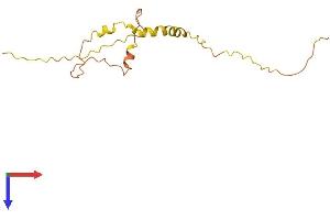 AlphaFold protein structure predicition of Human Recombinant LINC00588 Protein, UniprotID Q9Y4M8