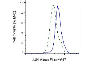 Flow cytometric analysis of JUN expression in HT- cells using JUN antibody (ABIN7799149), 1:2,000). (C-JUN anticorps)