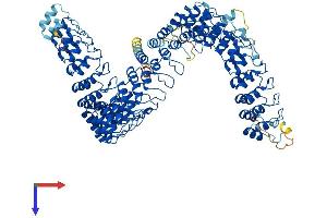 AlphaFold protein structure predicition of Mouse Recombinant Ankrd44 Protein, UniprotID B2RXR6