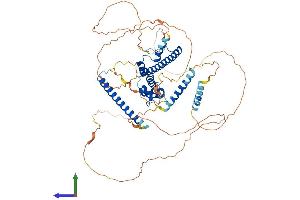 AlphaFold protein structure predicition of Mouse Recombinant Mlph Protein, UniprotID Q91V27