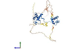 AlphaFold protein structure predicition of Human Recombinant PAX9 Protein, UniprotID P55771