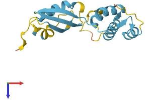 AlphaFold protein structure predicition of Mouse Recombinant Rpl12 Protein, UniprotID P35979