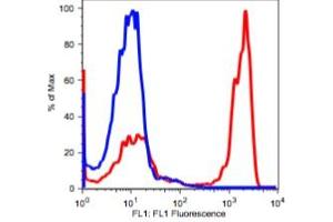 Image no. 2 for anti-CD4 (CD4) antibody (ABIN2704265)