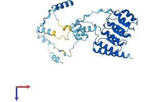 AlphaFold protein structure predicition of Human Recombinant TMOD4 Protein, UniprotID Q9NZQ9