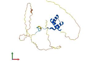 AlphaFold protein structure predicition of Human Recombinant HOXA7 Protein, UniprotID P31268