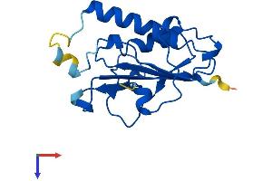 AlphaFold protein structure predicition of Human Recombinant NSUN5P1 Protein, UniprotID Q3KNT7