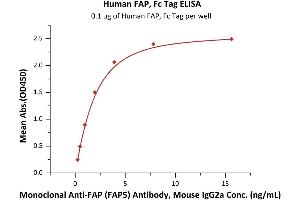 Immobilized Human FAP, Fc Tag (ABIN6973051) at 1 μg/mL (100 μL/well) can bind Monoclonal Anti-FAP (FAP5) Antibody, Mouse IgG2a with a linear range of 0.