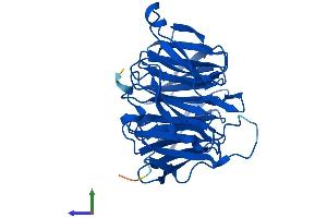 AlphaFold protein structure predicition of Mouse Recombinant Bub3 Protein, UniprotID Q9WVA3
