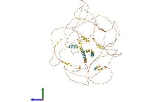 AlphaFold protein structure predicition of Mouse Recombinant Mamld1 Protein, UniprotID P0C6A2