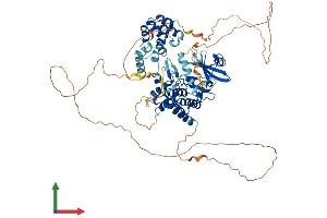 AlphaFold protein structure predicition of Human Recombinant IRAK1 Protein, UniprotID P51617