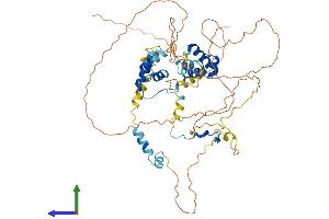 AlphaFold protein structure predicition of Mouse Recombinant Mier3 Protein, UniprotID Q3UHF3