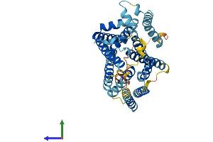 AlphaFold protein structure predicition of Mouse Recombinant Slc35b2 Protein, UniprotID Q91ZN5