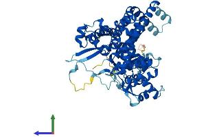AlphaFold protein structure predicition of Mouse Recombinant Polr3c Protein, UniprotID Q9D483
