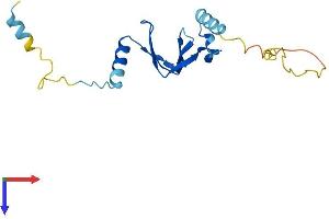 AlphaFold protein structure predicition of Human Recombinant BTF3L4 Protein, UniprotID Q96K17