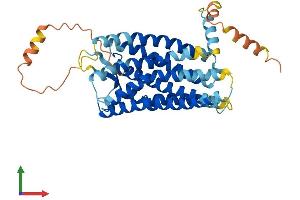 AlphaFold protein structure predicition of Mouse Recombinant Cxcr5 Protein, UniprotID Q04683