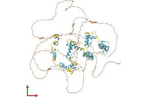 AlphaFold protein structure predicition of Human Recombinant ZFX Protein, UniprotID P17010