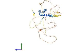 AlphaFold protein structure predicition of Mouse Recombinant Nanog Protein, UniprotID Q80Z64