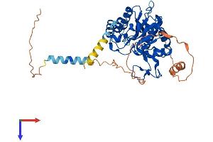 AlphaFold protein structure predicition of Mouse Recombinant B3galt2 Protein, UniprotID O54905