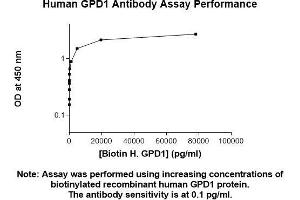 Image no. 1 for anti-Glycerol-3-Phosphate Dehydrogenase 1 (Soluble) (GPD1) (AA 1-349) antibody (ABIN5564735) (GPD1 anticorps  (AA 1-349))