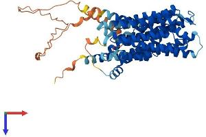 AlphaFold protein structure predicition of Mouse Recombinant Spns2 Protein, UniprotID Q91VM4