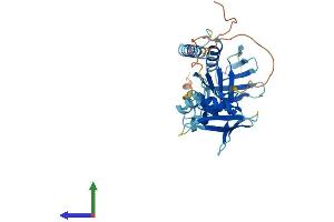 AlphaFold protein structure predicition of Mouse Recombinant Stap1 Protein, UniprotID Q9JM90