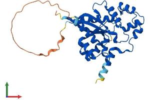 AlphaFold protein structure predicition of Mouse Recombinant Nmnat1 Protein, UniprotID Q9EPA7