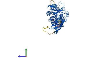 AlphaFold protein structure predicition of Human Recombinant TRMU Protein, UniprotID O75648