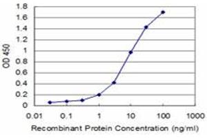 Detection limit for recombinant GST tagged ABL2 is approximately 1ng/ml as a capture antibody. (ABL2 anticorps  (AA 743-842))
