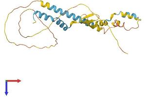 AlphaFold protein structure predicition of Mouse Recombinant Arl6ip4 Protein, UniprotID Q9JM93