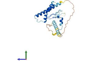 AlphaFold protein structure predicition of Human Recombinant PYM1 Protein, UniprotID Q9BRP8