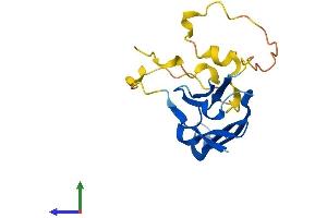 AlphaFold protein structure predicition of Human Recombinant HSPB6 Protein, UniprotID O14558
