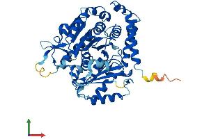 AlphaFold protein structure predicition of Human Recombinant TUBA8 Protein, UniprotID Q9NY65