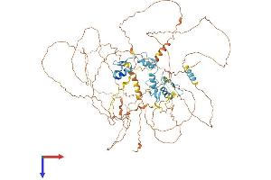 AlphaFold protein structure predicition of Human Recombinant ATMIN Protein, UniprotID O43313