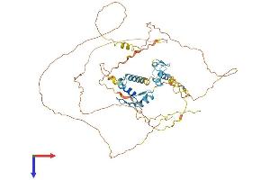 AlphaFold protein structure predicition of Human Recombinant INSM2 Protein, UniprotID Q96T92